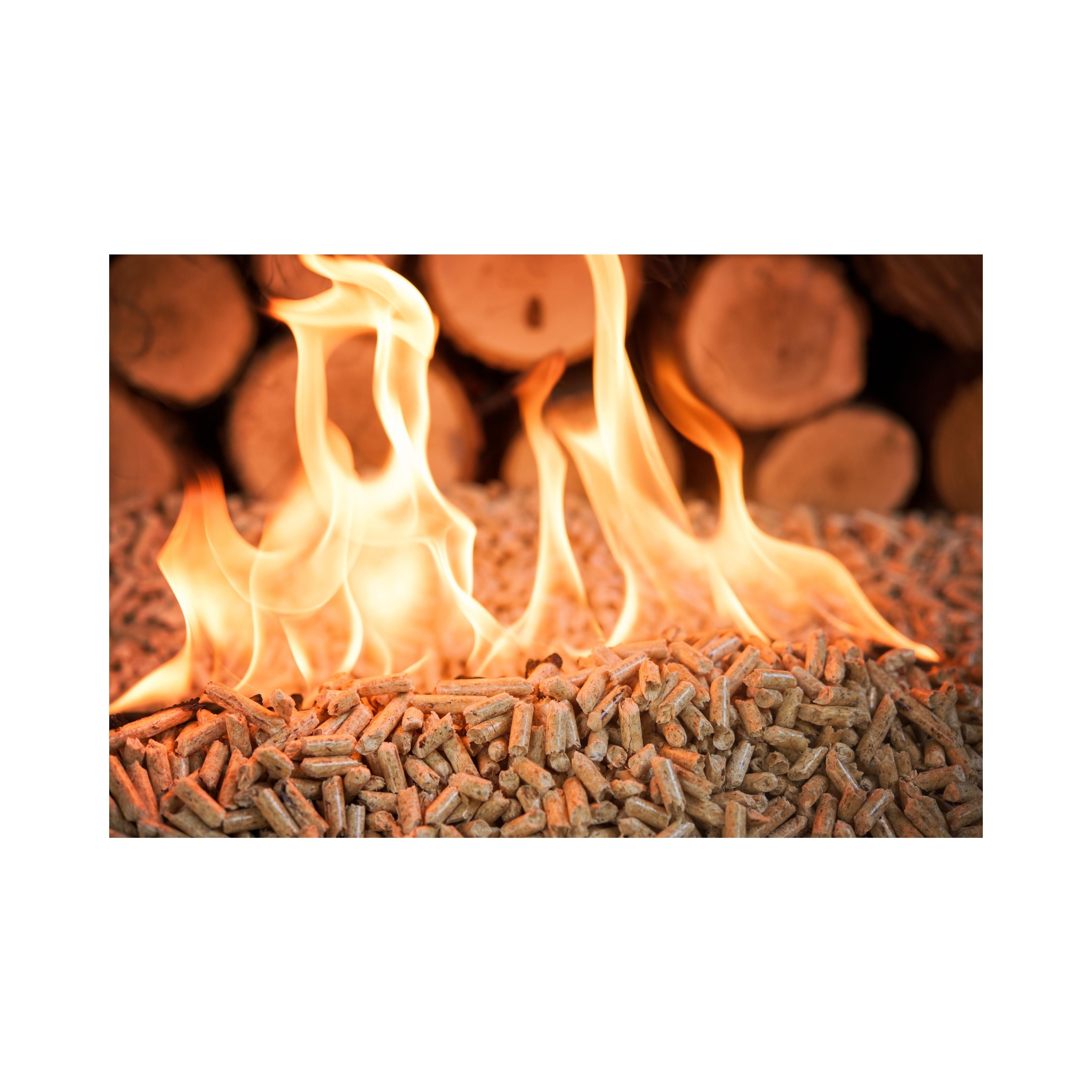 Black and Gold Modern Motor Oil Instagram Post (24).jpg